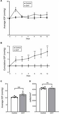 Selective vulnerability of the intermediate retinal capillary plexus precedes retinal ganglion cell loss in ocular hypertension